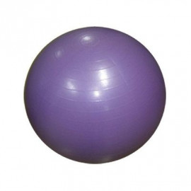 توپ پیلاتس پاندا Panda Pilates Ball