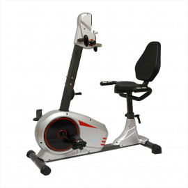 دوچرخه ثابت پاندا Panda Bike B511RM